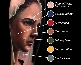 Tattoo Color Used Chart