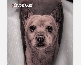 Dog Tattoo