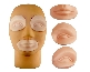 PMU 3D Head Model + 2 Eyes + 1 Lips