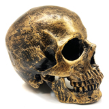 Bronze Skull
