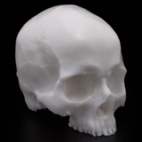 Practice Tattoo SKULL